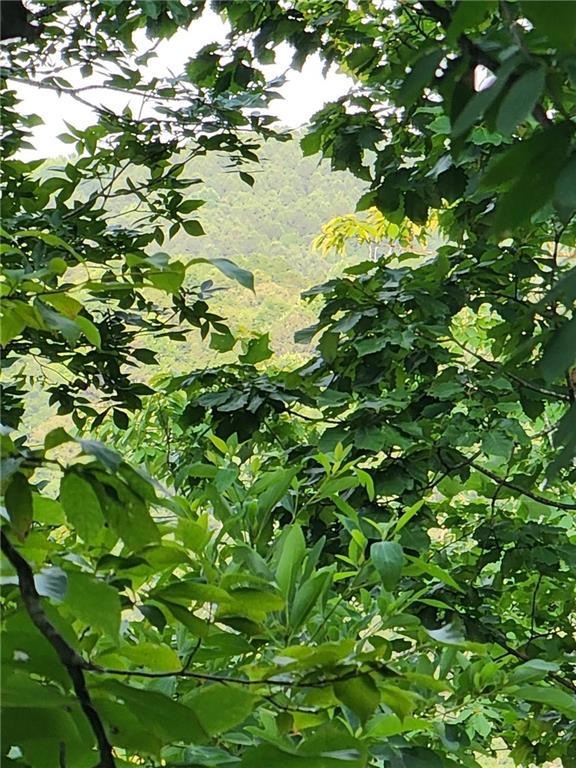 932 Apex Ct, Ranger, GA 30734 - photo 1