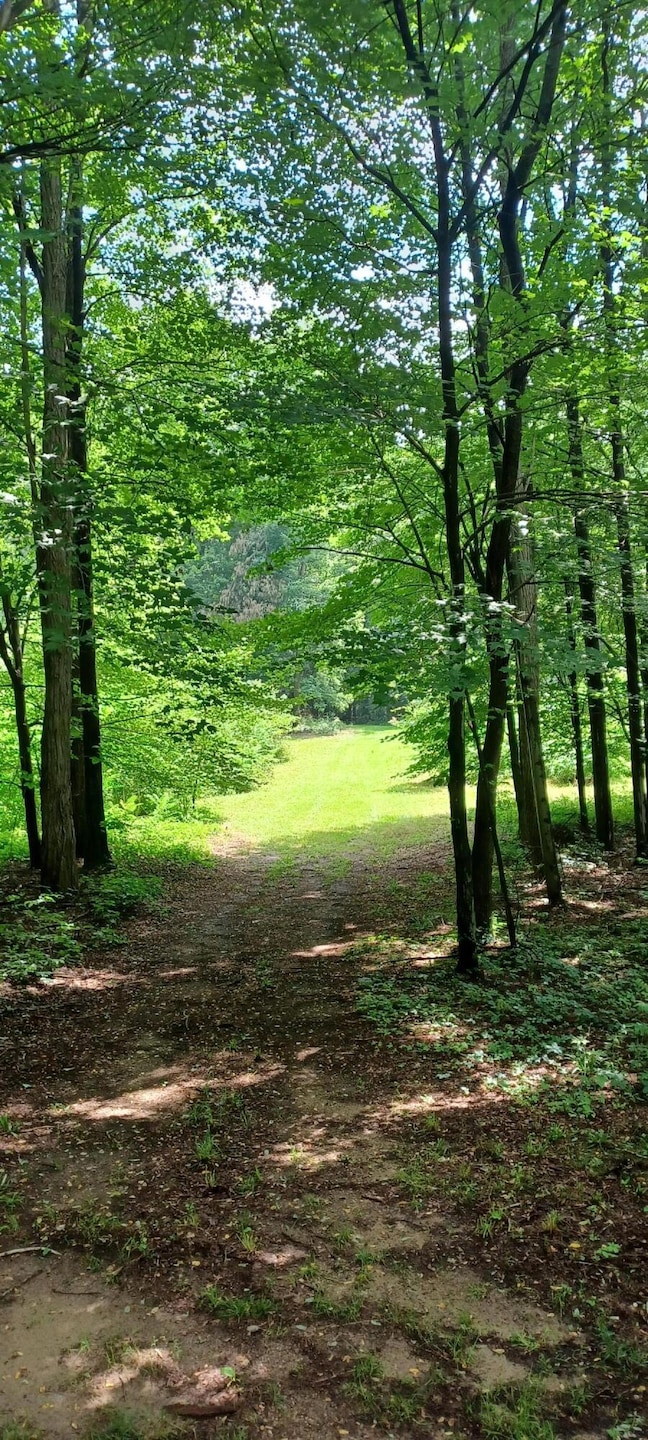 Sold $55,000 • Co-Listing Agent