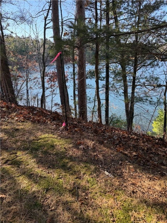 Lot 1 Hwy 70, Stone Lake Township, WI 54876 - photo 1