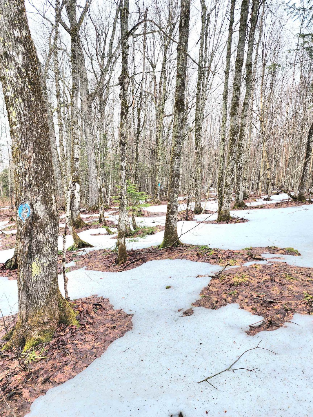 2 Diamond Pond Rd unit B, Stewartstown, NH 03576 - photo 1