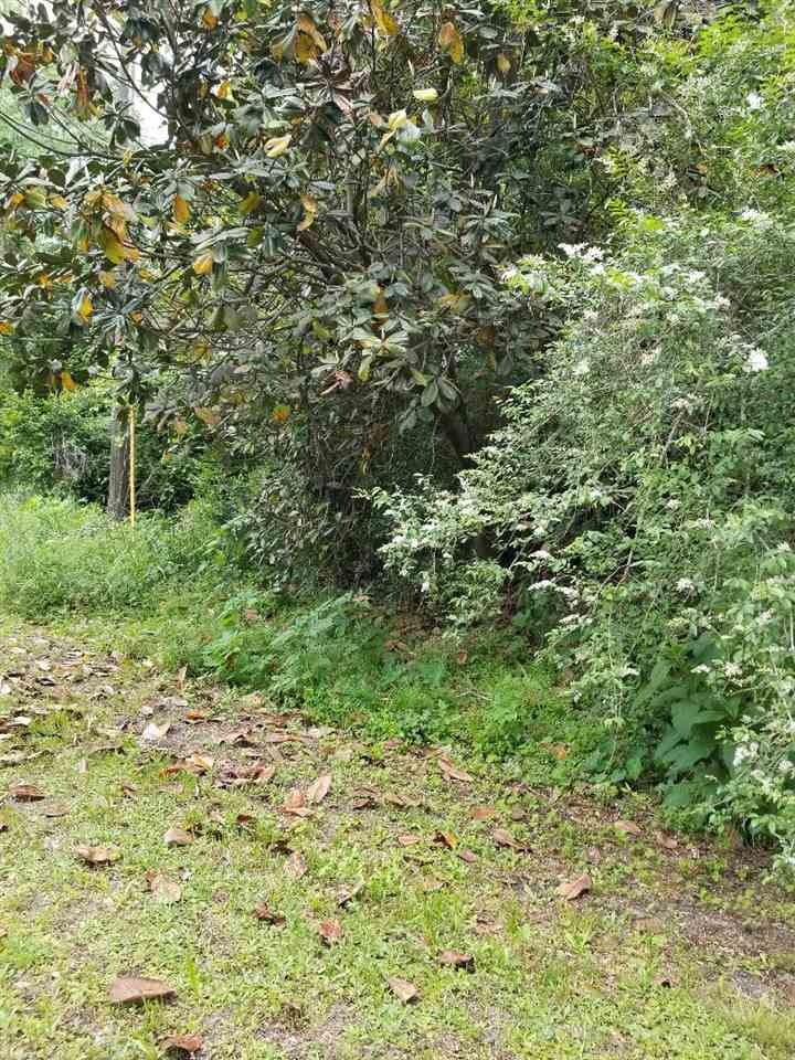 xx 8th St, Florala, AL 36442 - photo 1