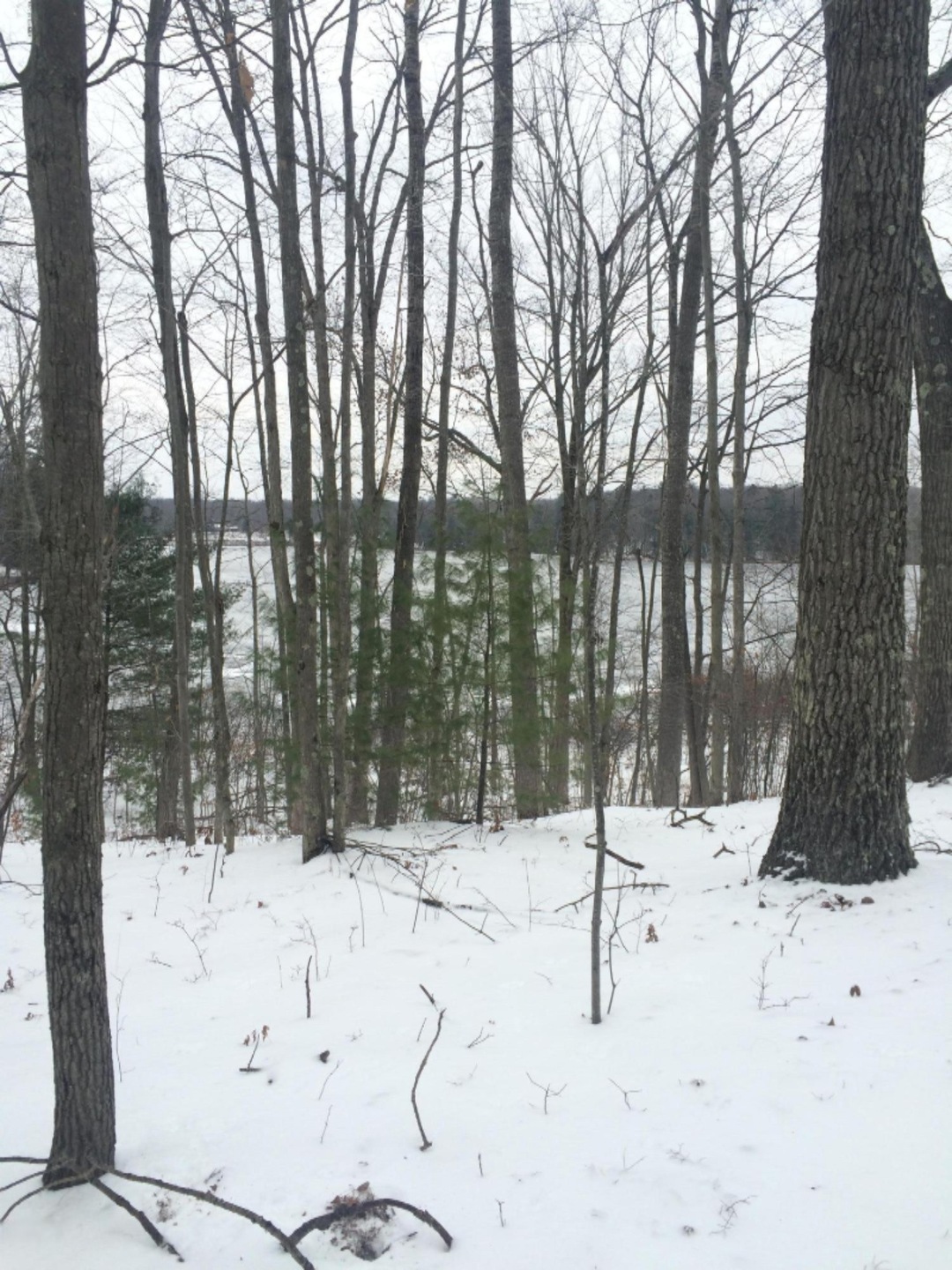 0 Lake Shore unit 16002023, Bitely, MI 49309 - photo 1