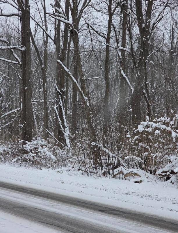 V/L 11th St, Plainwell, MI 49080 - photo 1