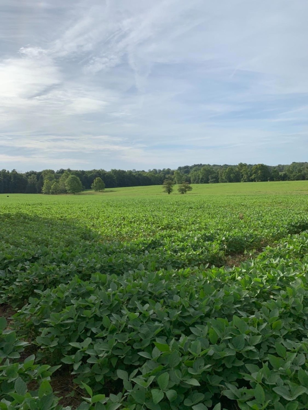 0 Luther Rogers Rd unit 1654849, Tiffin Township, OH 45693 - photo 1