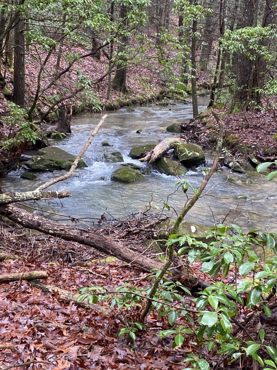 Lot 11 Thomas Springs Rd, Crossville, TN 38572 - photo 1