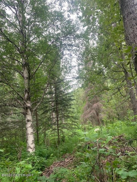 image2 (1)