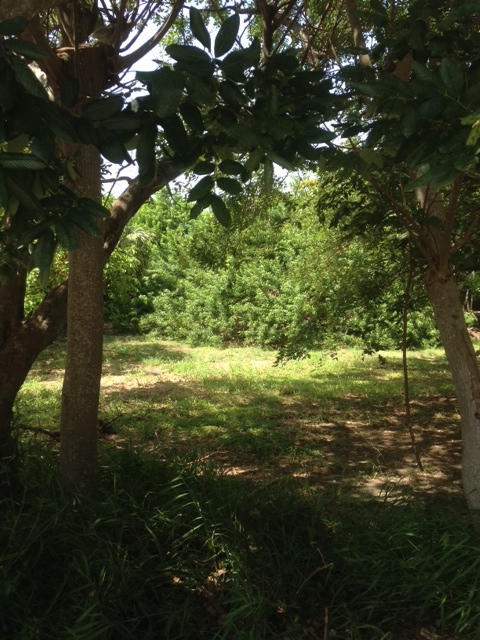 Partially Cleared