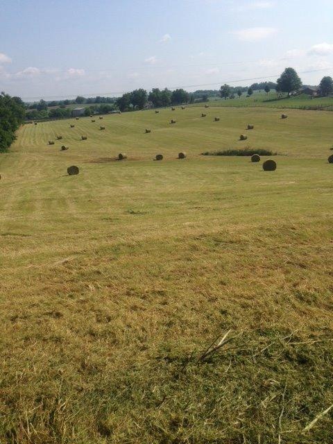 1 Chatham Rd, Harrodsburg, KY 40330 - photo 1