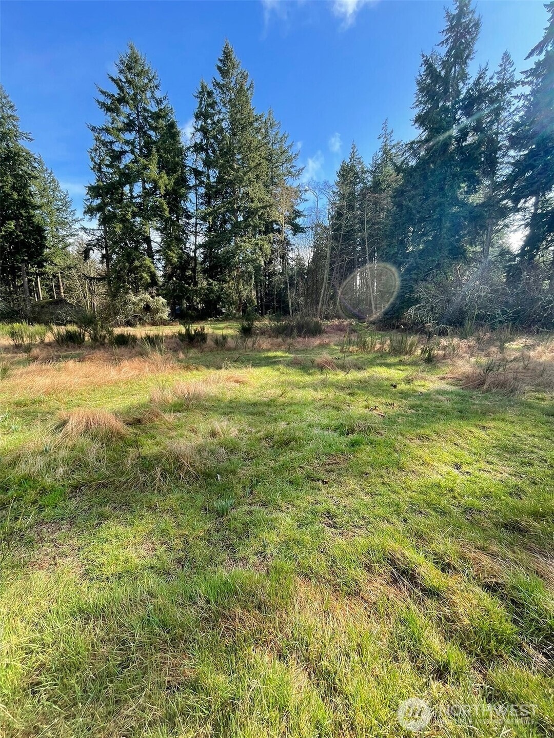 Sun dappled pastoral meadow is just the start to all this 12+ acre parcel offers.