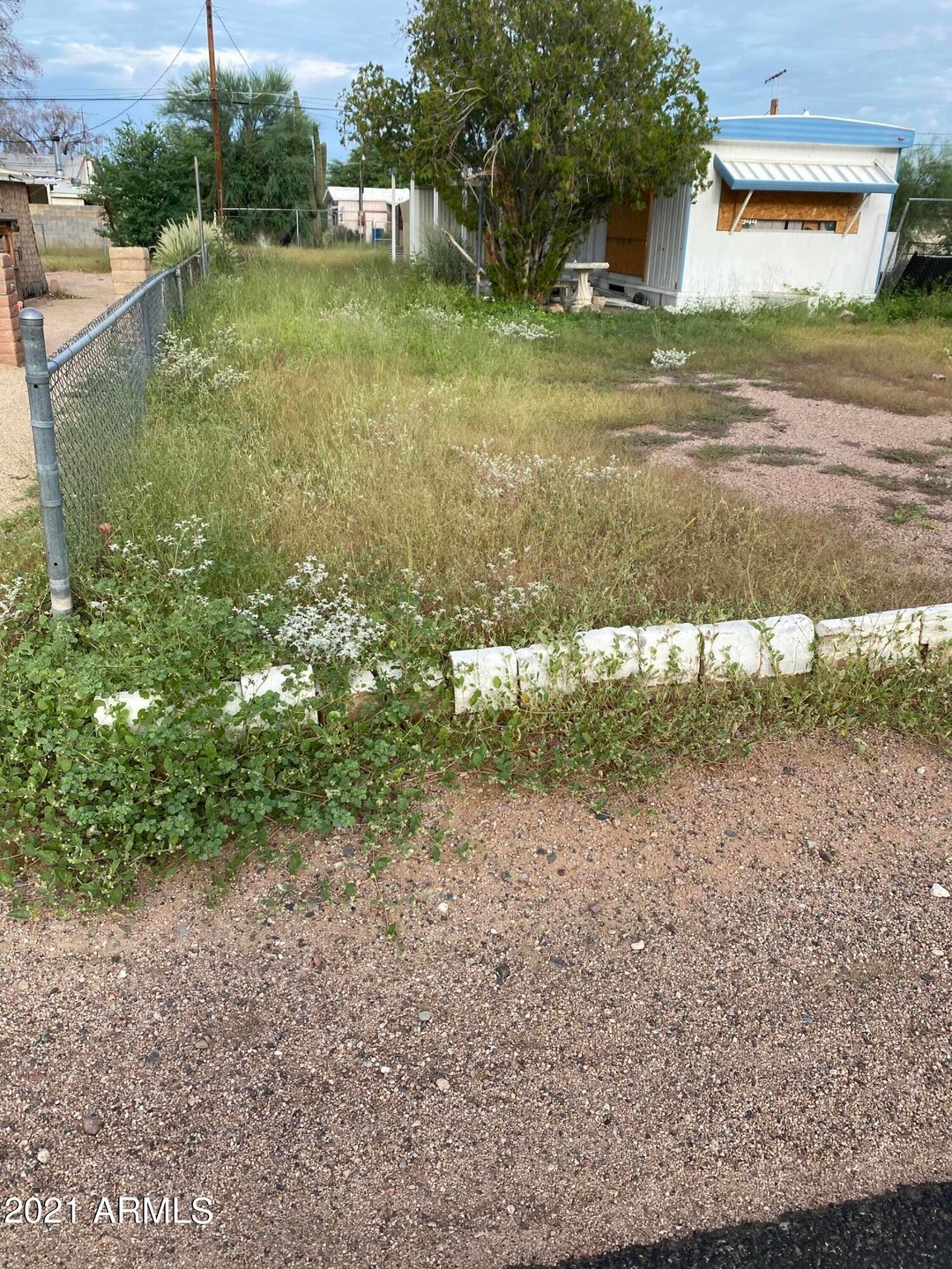 IMG-0335