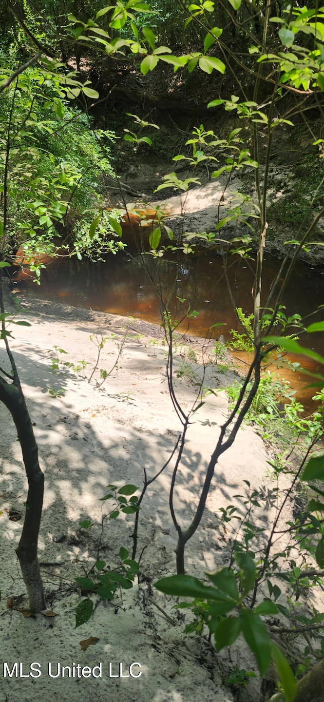 Creek