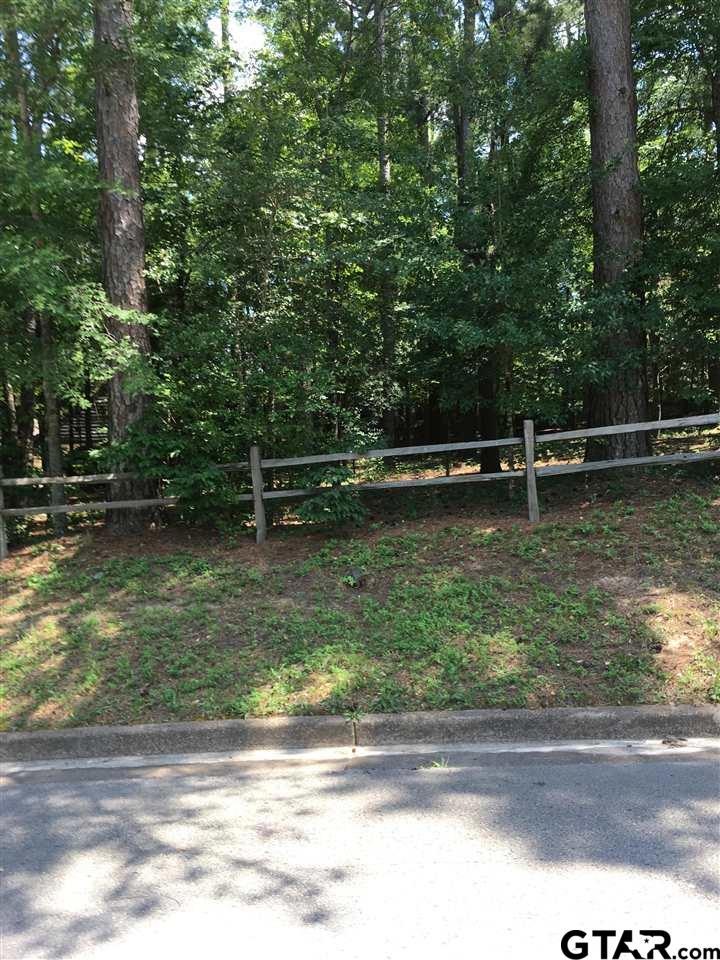 9174 Chisholm Trail, Tyler, TX 75703 - photo 1