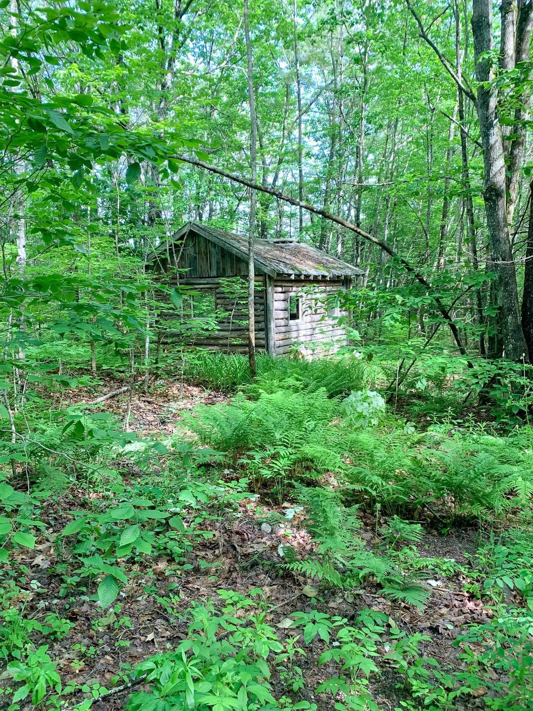 0 Willis Bean unit 4914935, Eaton, NH 03832 - photo 1