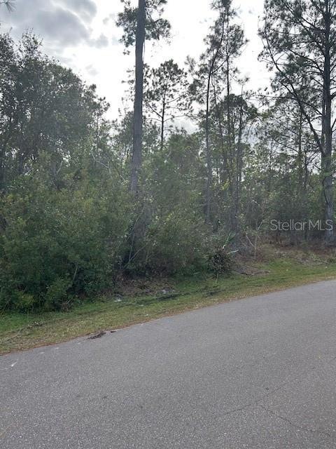 34 Kathleen Trail, Palm Coast, FL 32164 - photo 1