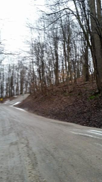 1581 Cardinal Hill Ln, Sugar Grove, OH 43155 - photo 1