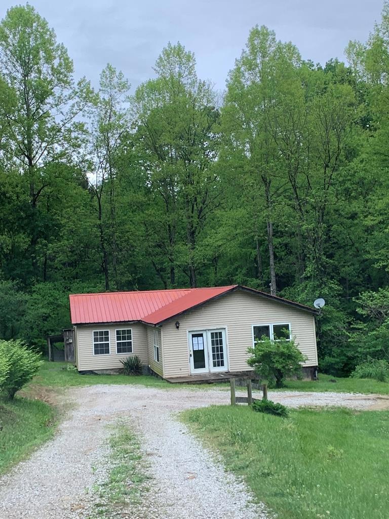 Main View