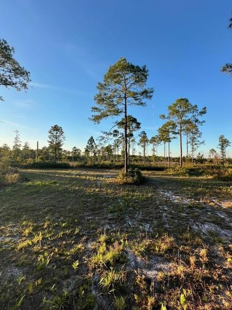 0 Seagrape Ave unit MFRA4672088, Eustis, FL 32736 - photo 1