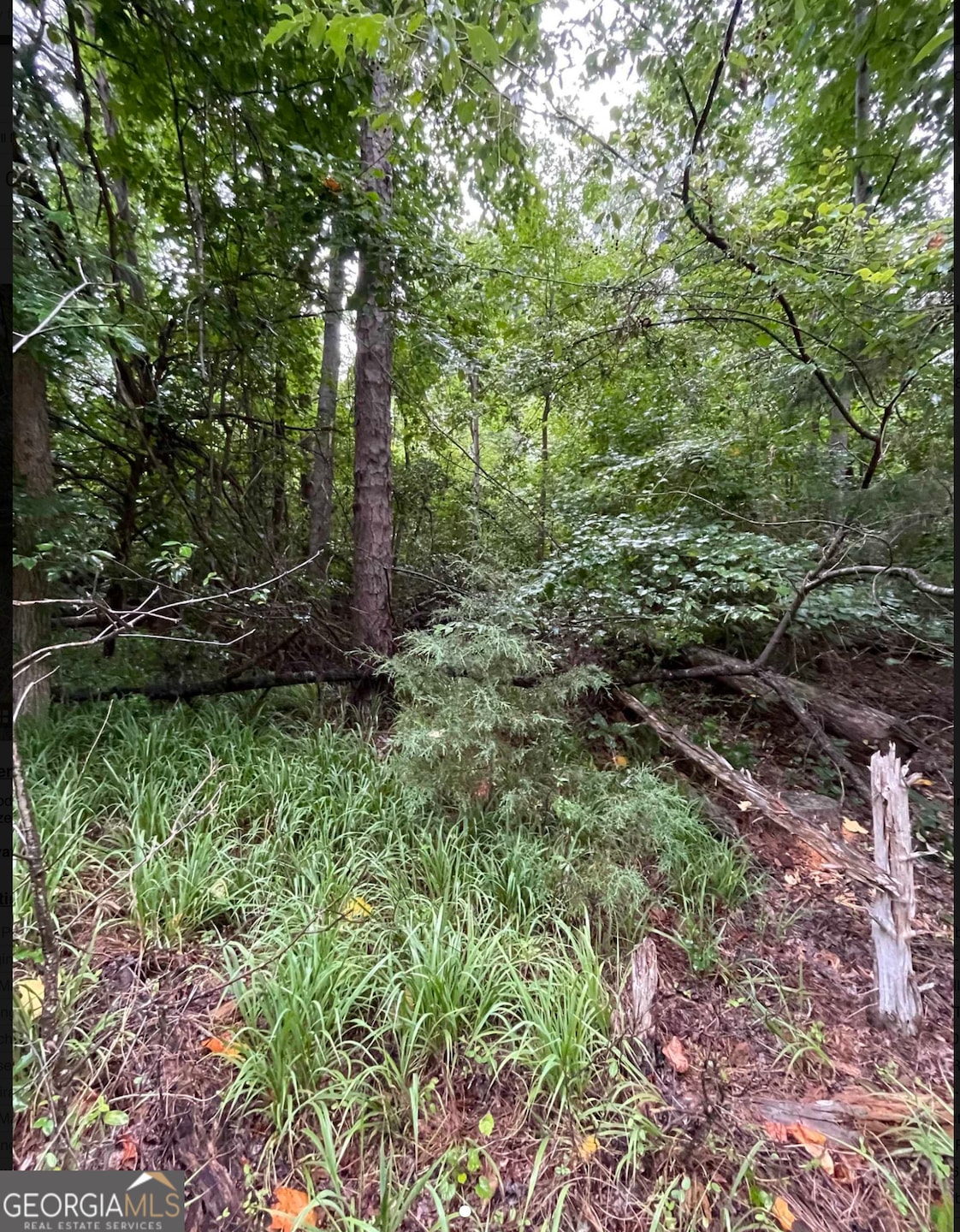LOT 51 Alpine Way, Gumlog, GA 30553 - photo 1