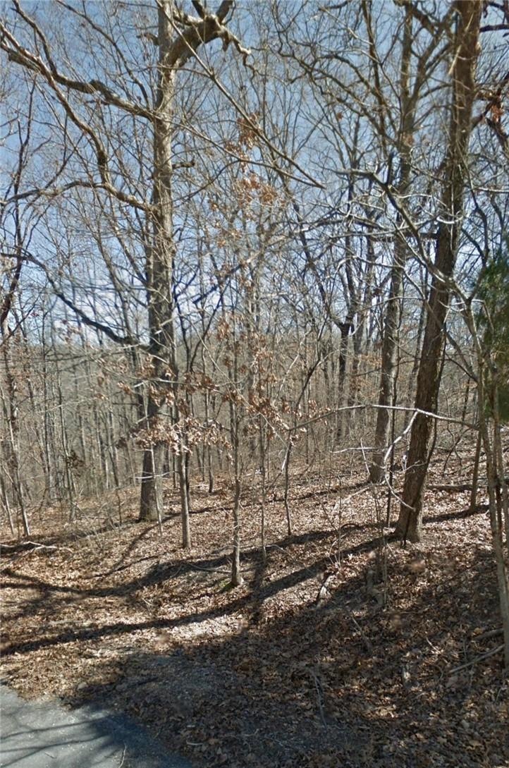 0 Leverton Ln, Bella Vista, AR 72715 - photo 1