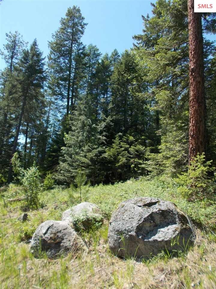 669 Forest Knolls Dr, Sandpoint, ID 83864 - photo 1