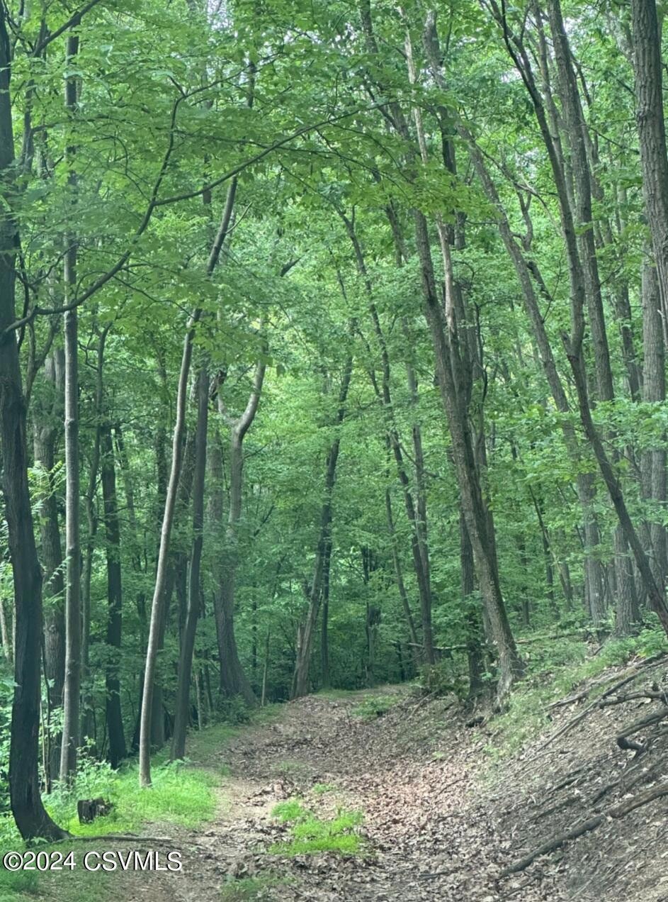 Sold $75,000 • Co-Listing Agent