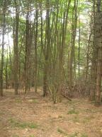 PROPERTY - WOODED