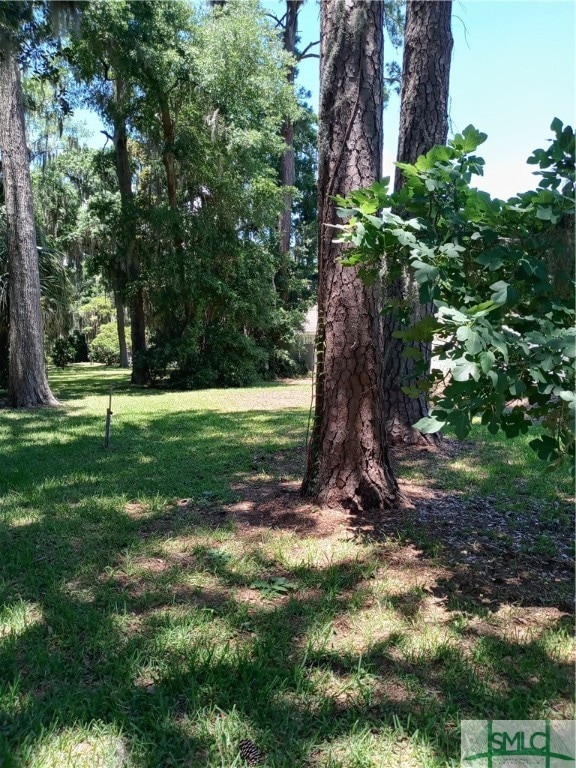 1612  A Walthour Rd, Wilmington Island, GA 31410 - photo 1