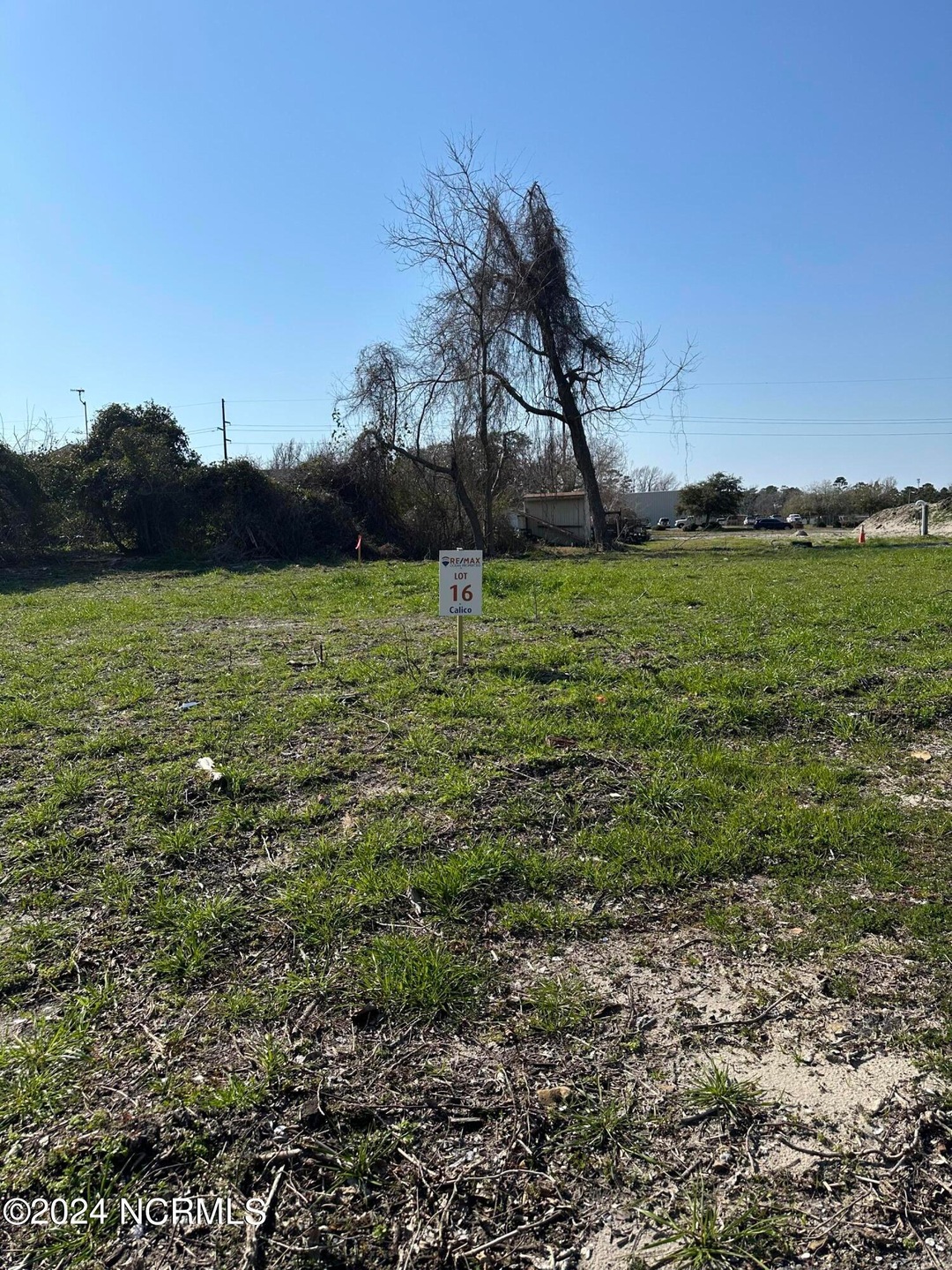 lot 16