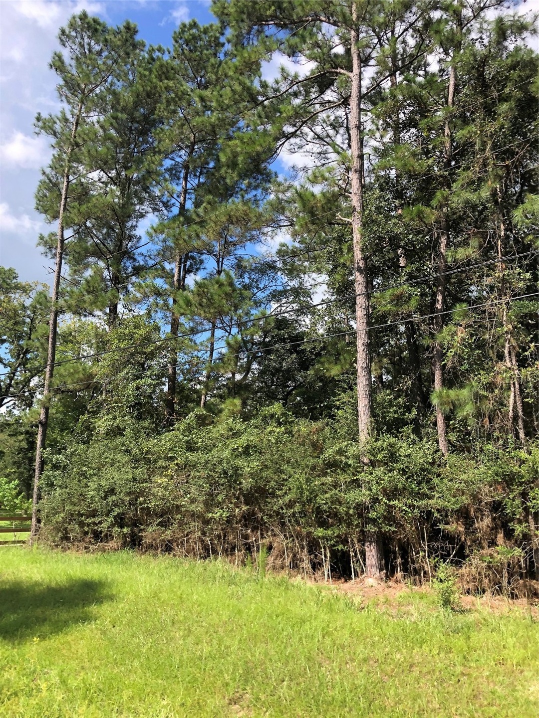 TBD Pelican St, Magnolia, TX 77355 - photo 1