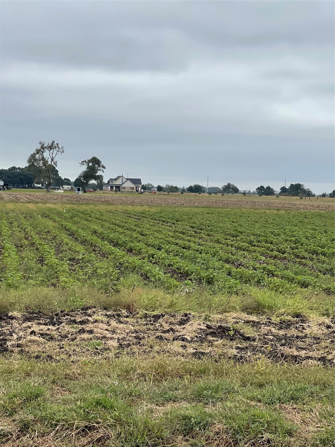 4214 Engle Rd, East Bernard, TX 77435 - photo 1