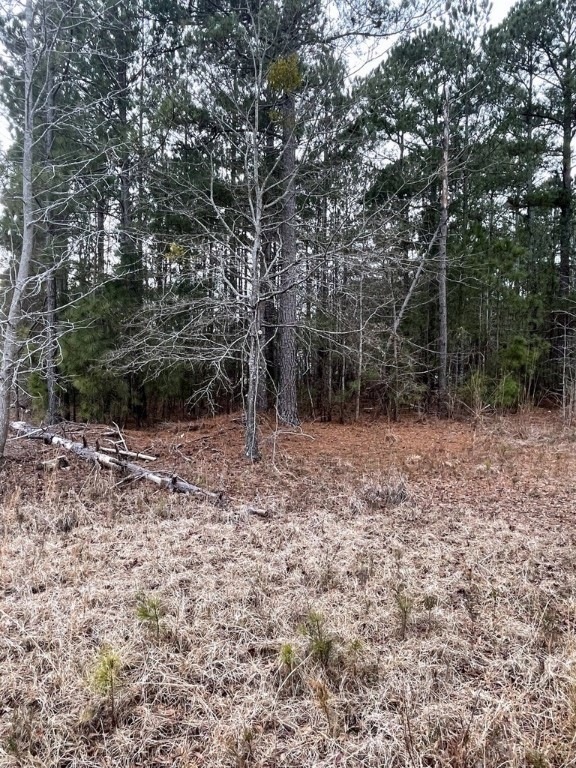 426 McFalls Cir, Anderson, SC 29621 - photo 1