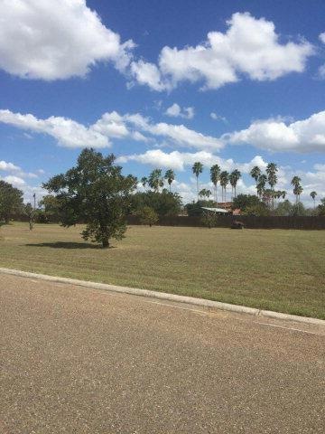 5514 E Pecan Dr, Donna, TX 78537 - photo 1