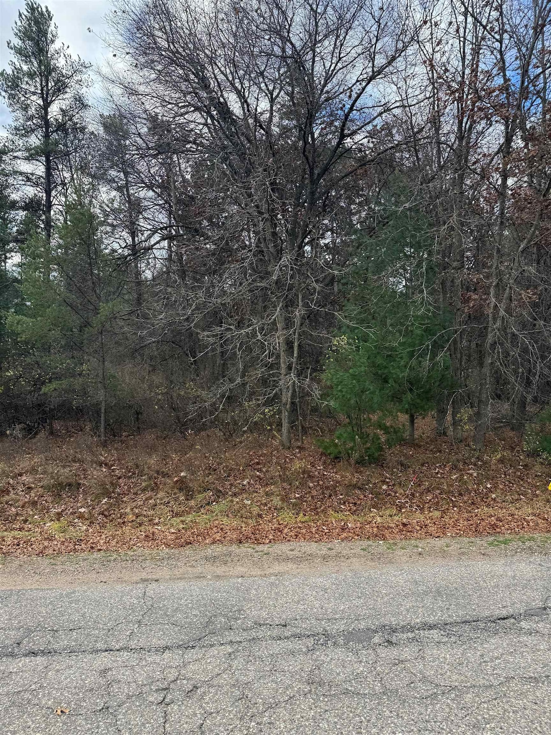 For Sale $54,900 • Co-Listing Agent