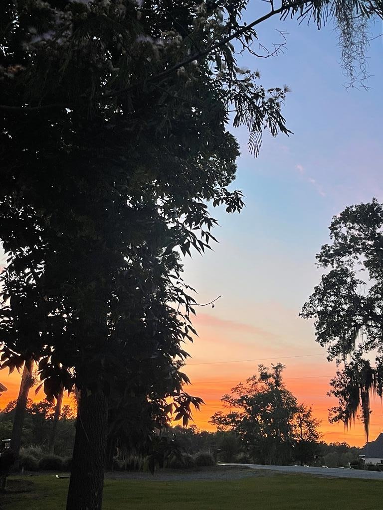 006D 049 Scenic Route, Cordele, GA 31015 - photo 1