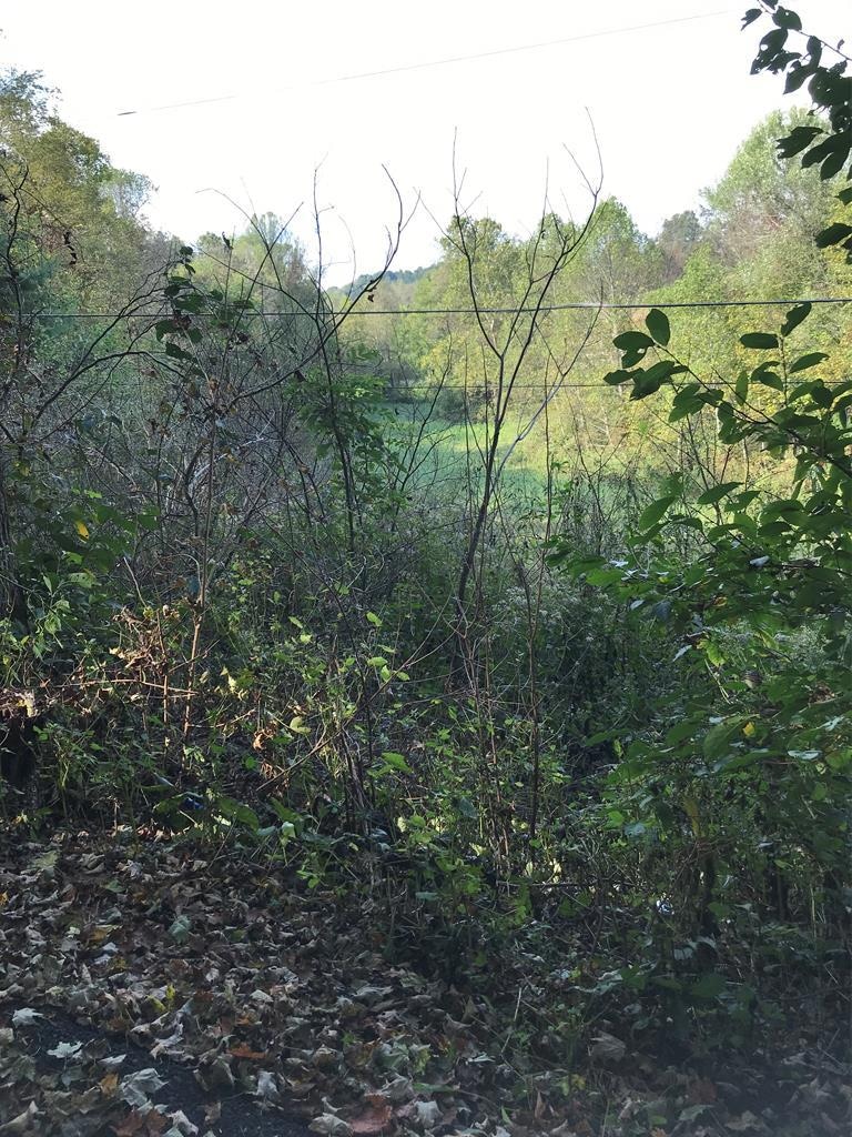 TBD Lot#47 Grinstead Hill Rd, Chilhowie, VA 24319 - photo 1