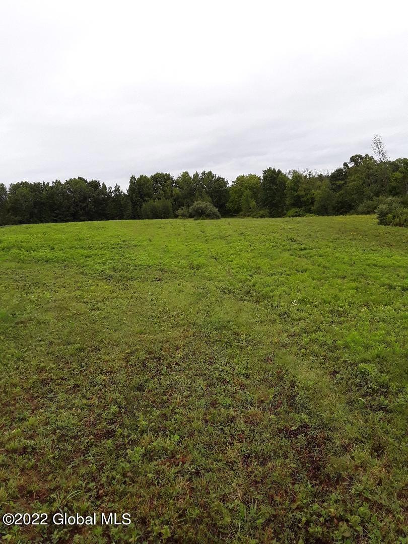 705 Sultan Ln, Schodack, NY 12063 - photo 1