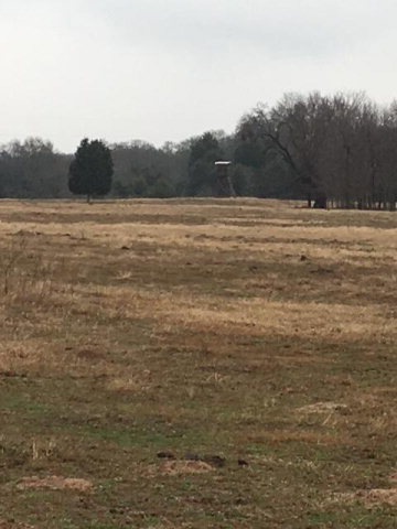 TBD Cr 1316, Malakoff, TX 75148 - photo 1