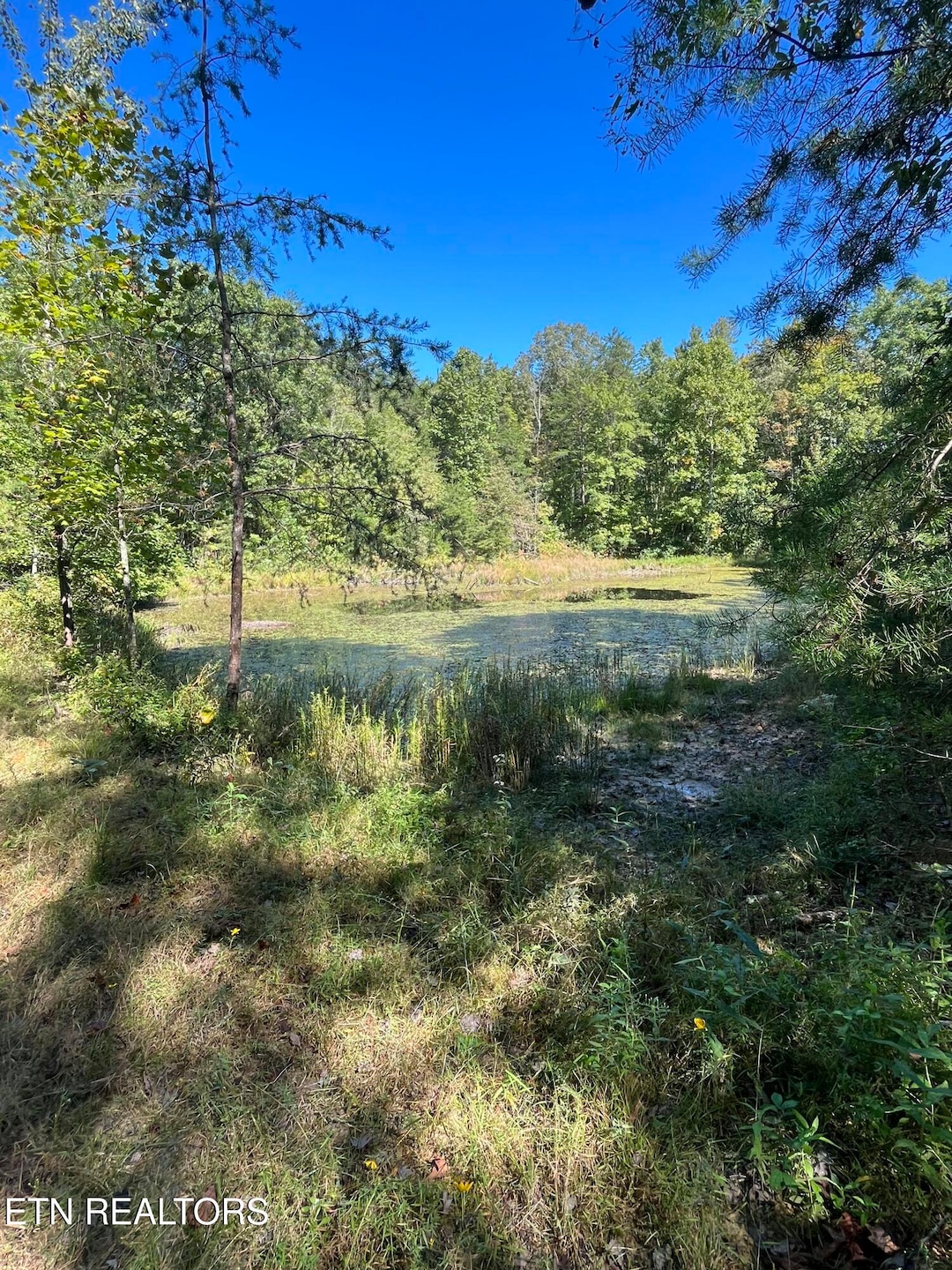 Sold $135,000 • Co-Listing Agent