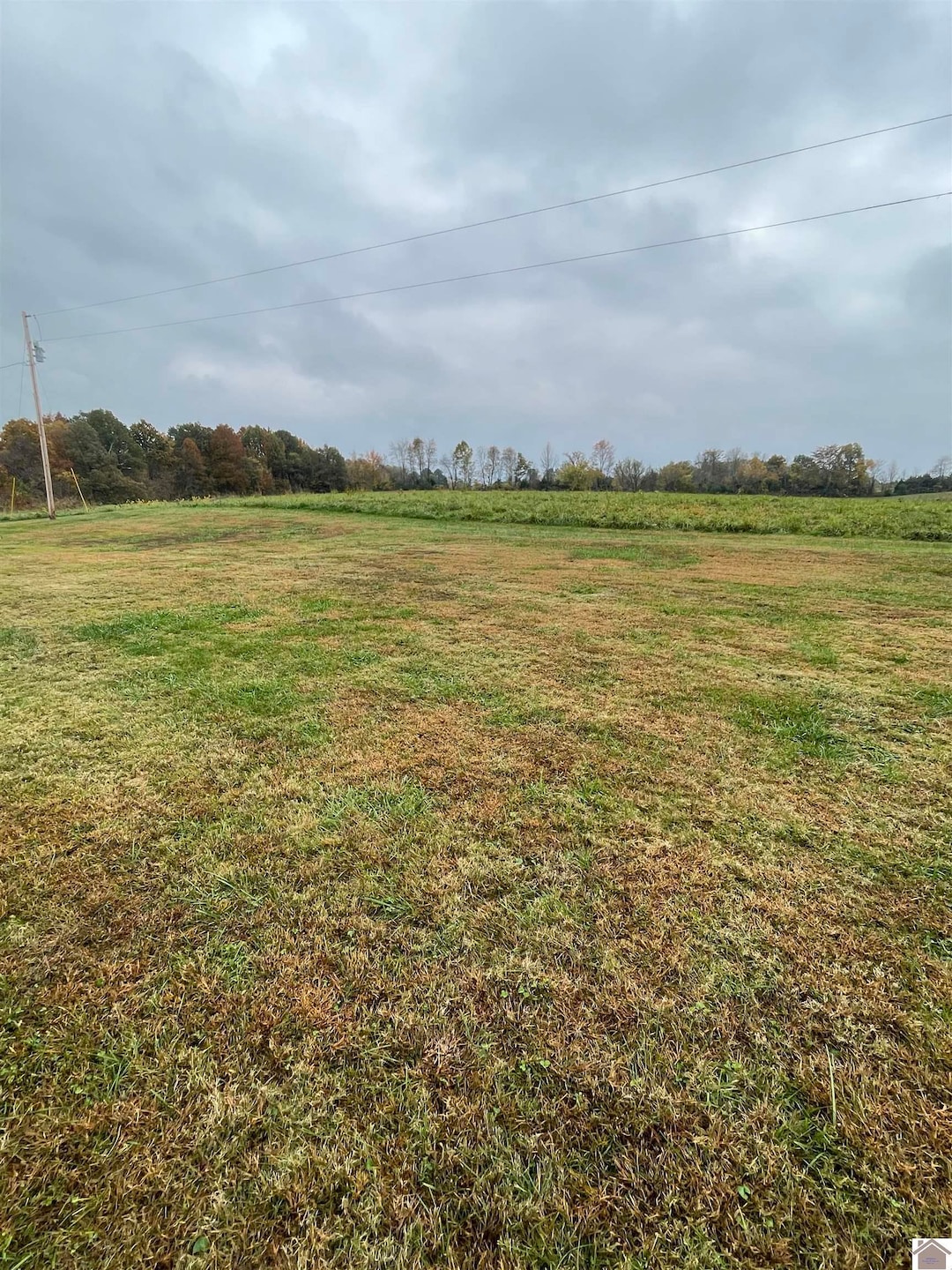 43-64 Magness Rd, Wingo, KY 42088 - photo 1