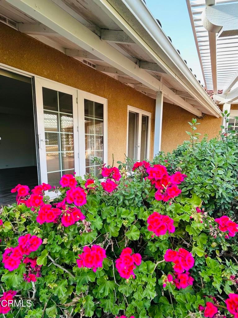 For Rent $4,500/month