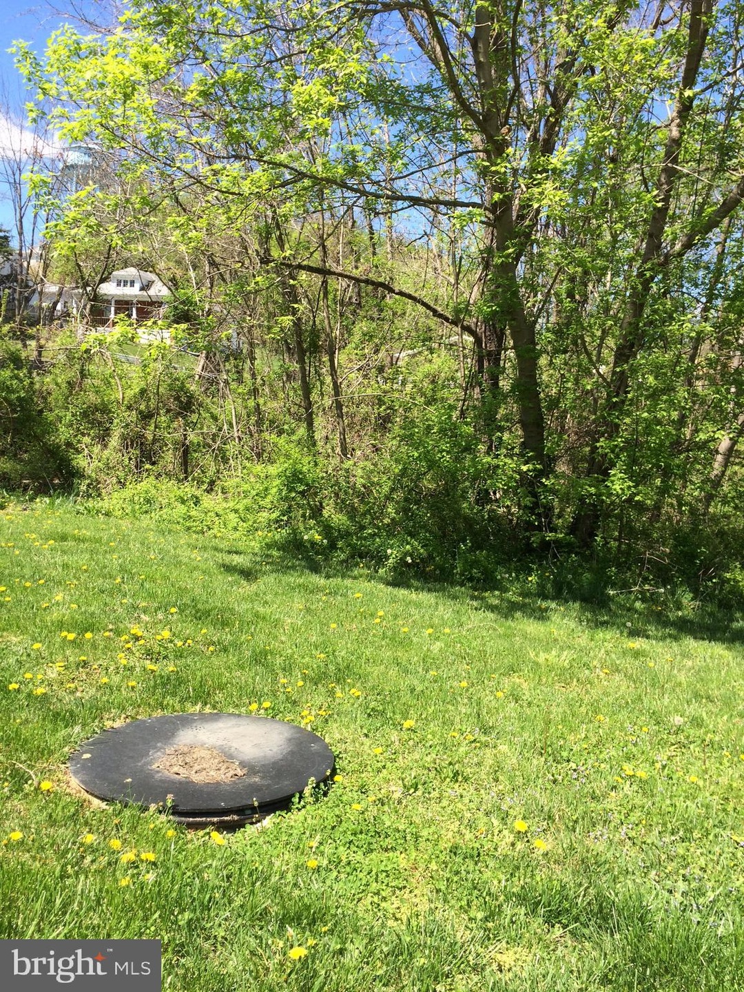 367 N Massanutten St, Strasburg, VA 22657 - photo 1