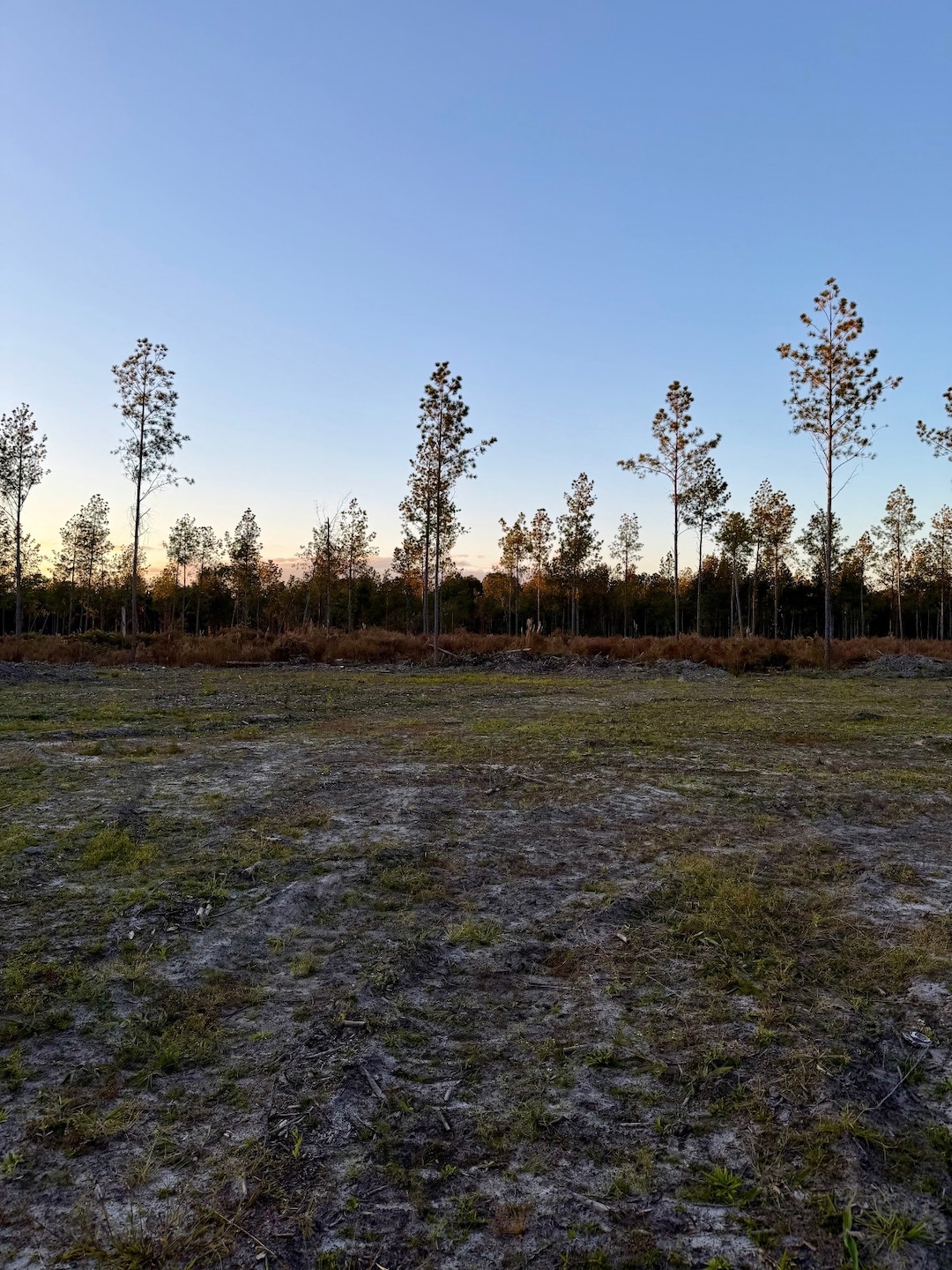 TBD Nat Rd unit 4, Early Branch, SC 29916 - photo 1