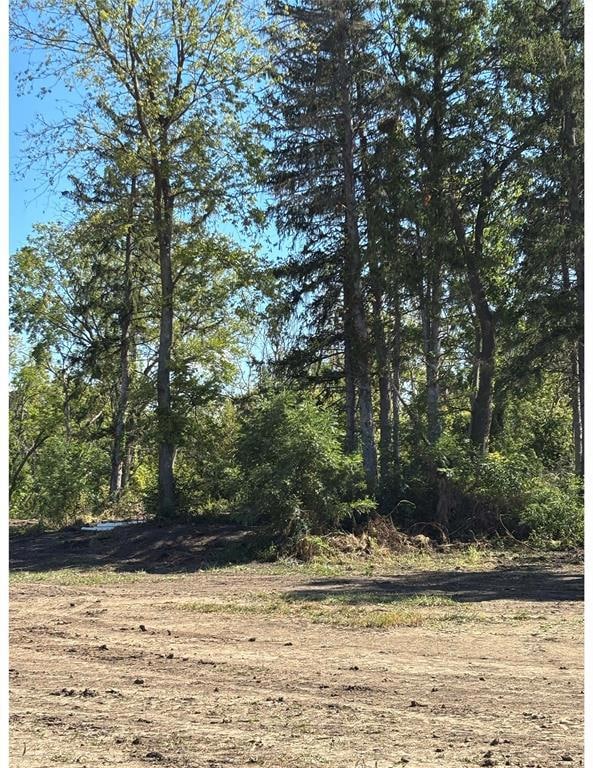 3 NW 88th St, Johnston, IA 50131 - photo 1