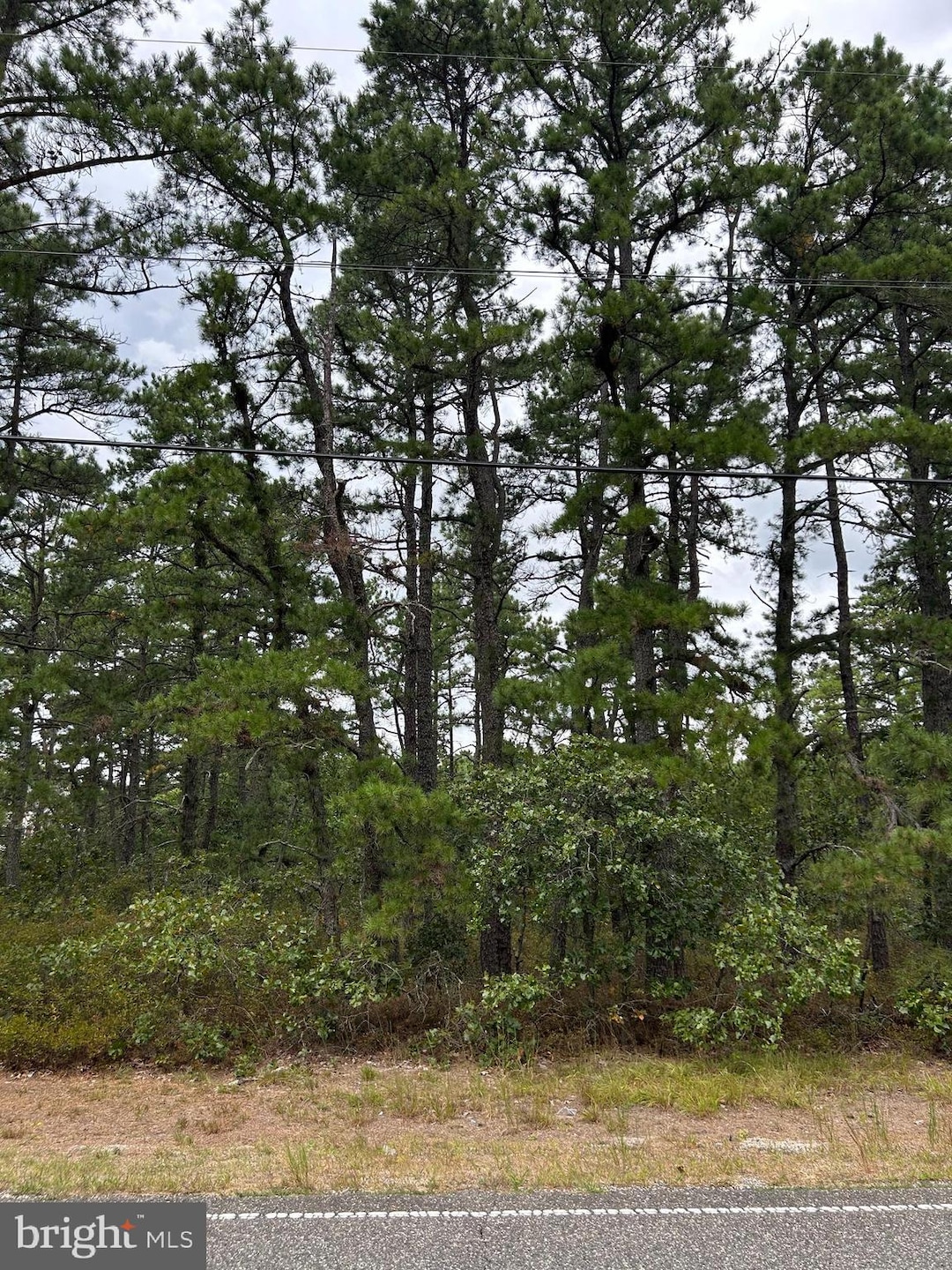 0 Savoy Blvd unit NJBL2096132, Chatsworth, NJ 08019 - photo 1