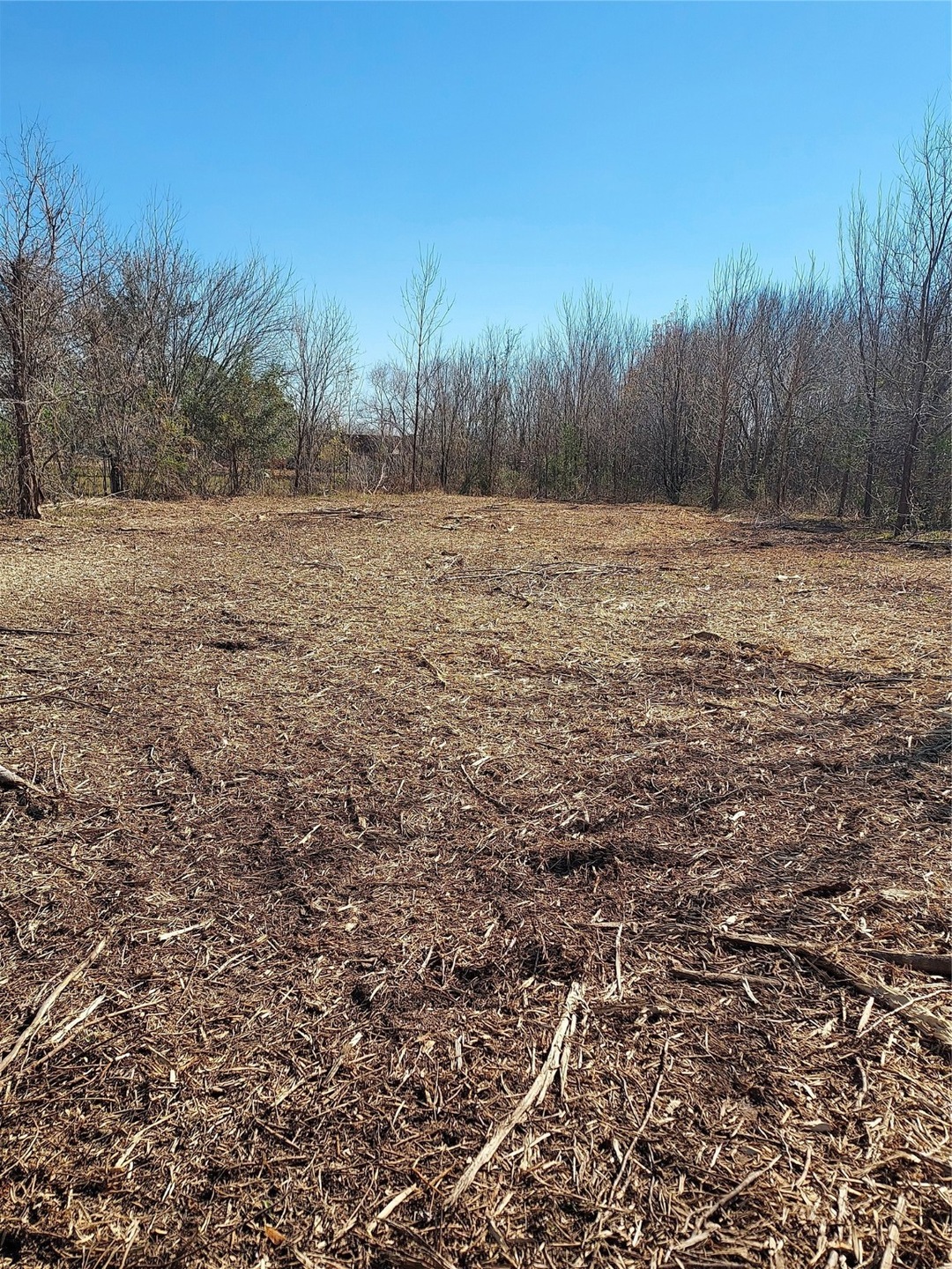 0 Tye Ln, Pearland, TX 77584 - photo 1