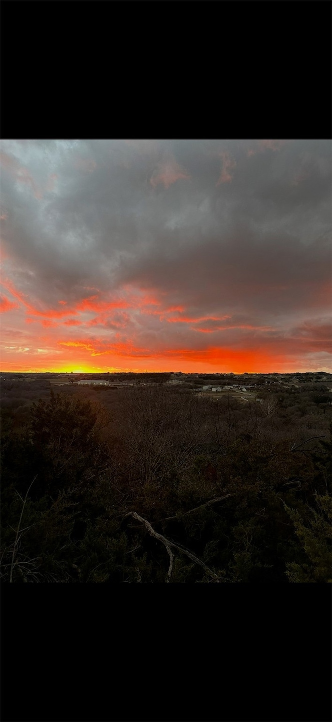 113 Overlook Ct, Cresson, TX 76035 - photo 1
