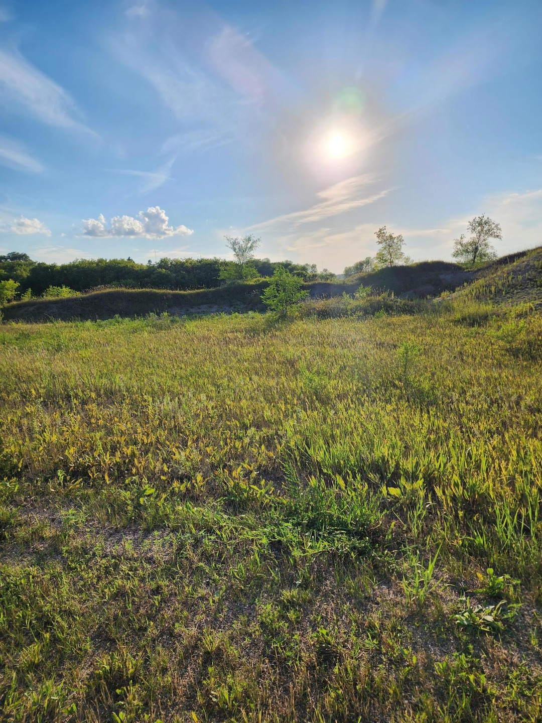 XXXX Country Estates Ct, Ida Township, MN 56308 - photo 1