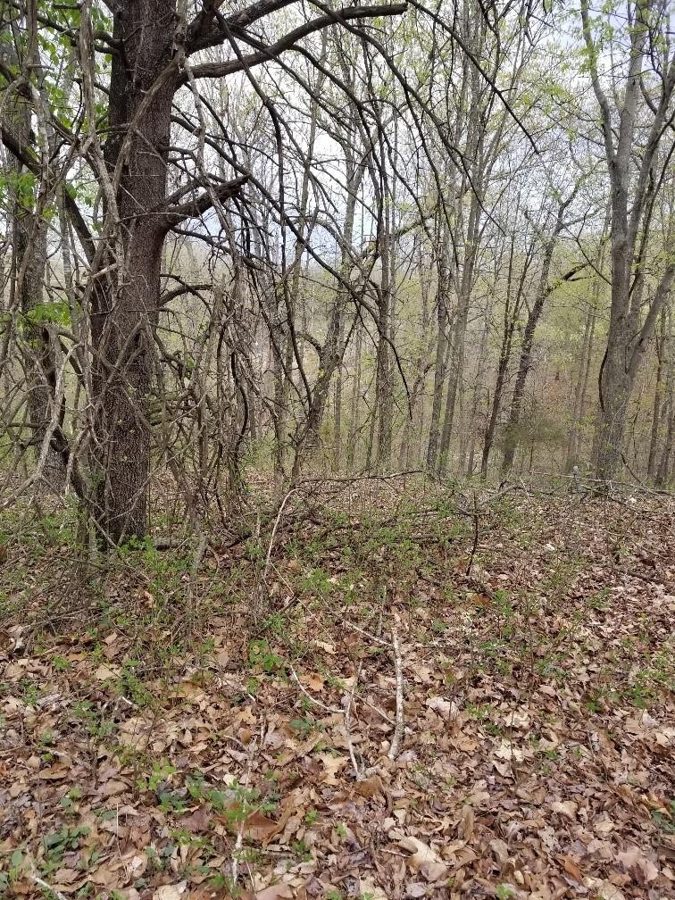 0 Reba Ln unit 1180911, Bella Vista, AR 72715 - photo 1