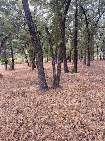 8500 Lavender Rd, Springtown, TX 76082 - photo 1