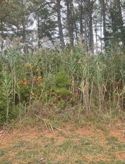 201 Hibiscus Dr, Other, VA 23336 - photo 1